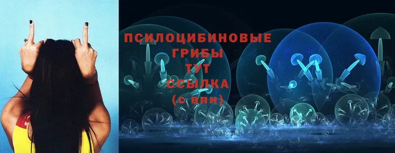 Купить наркотики цена Надым ОМГ ОМГ как зайти  МЕТАДОН  КЕТАМИН  Меф мяу мяу  МАРИХУАНА  АМФЕТАМИН  ГАШ  Псилоцибиновые грибы 